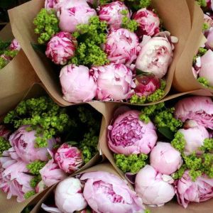 Peonies